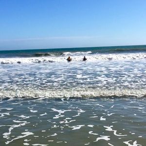 Meet your Posher, Drew